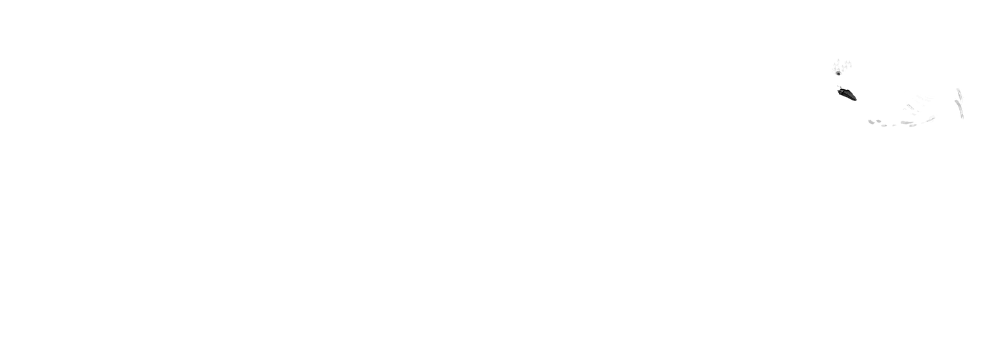 Proud Member of The Celebrant Society Landscape - White